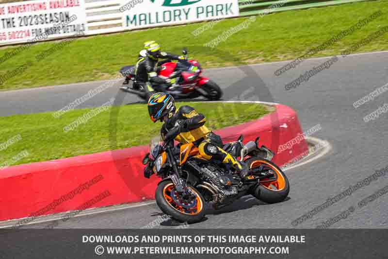 enduro digital images;event digital images;eventdigitalimages;mallory park;mallory park photographs;mallory park trackday;mallory park trackday photographs;no limits trackdays;peter wileman photography;racing digital images;trackday digital images;trackday photos